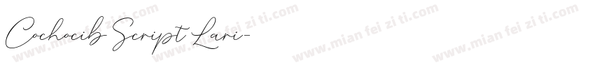 Cochocib Script Lari字体转换